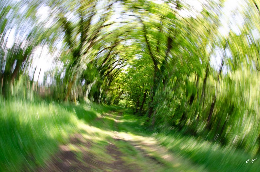 Effet de flou d'objectif